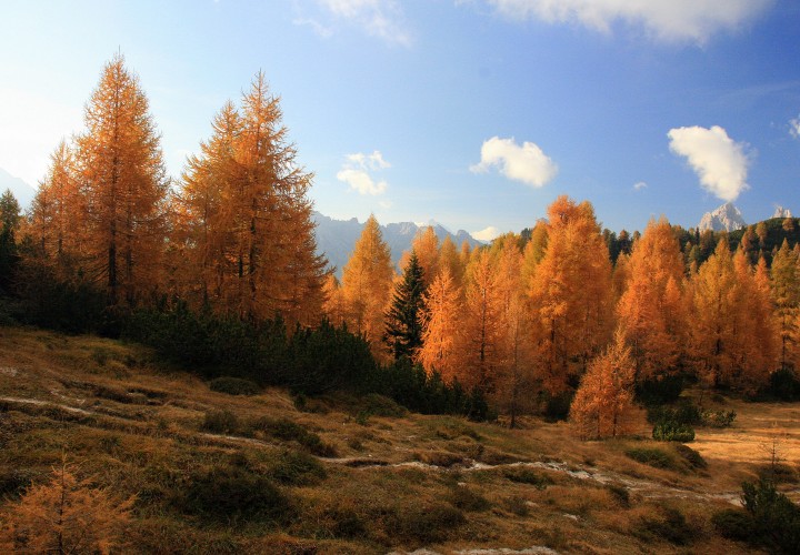 Foto di Francesco Zanna
